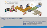 activityreport2013.png